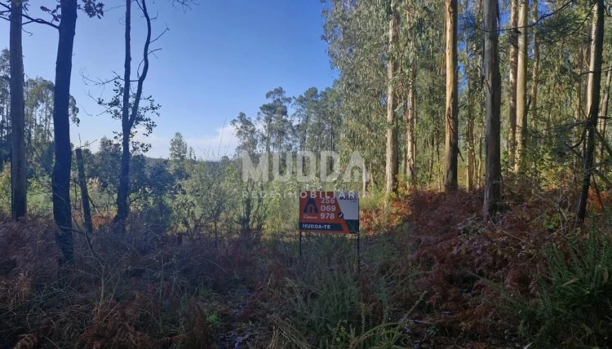 Terreno para Venda em São Martinho da Gandara Foto 3