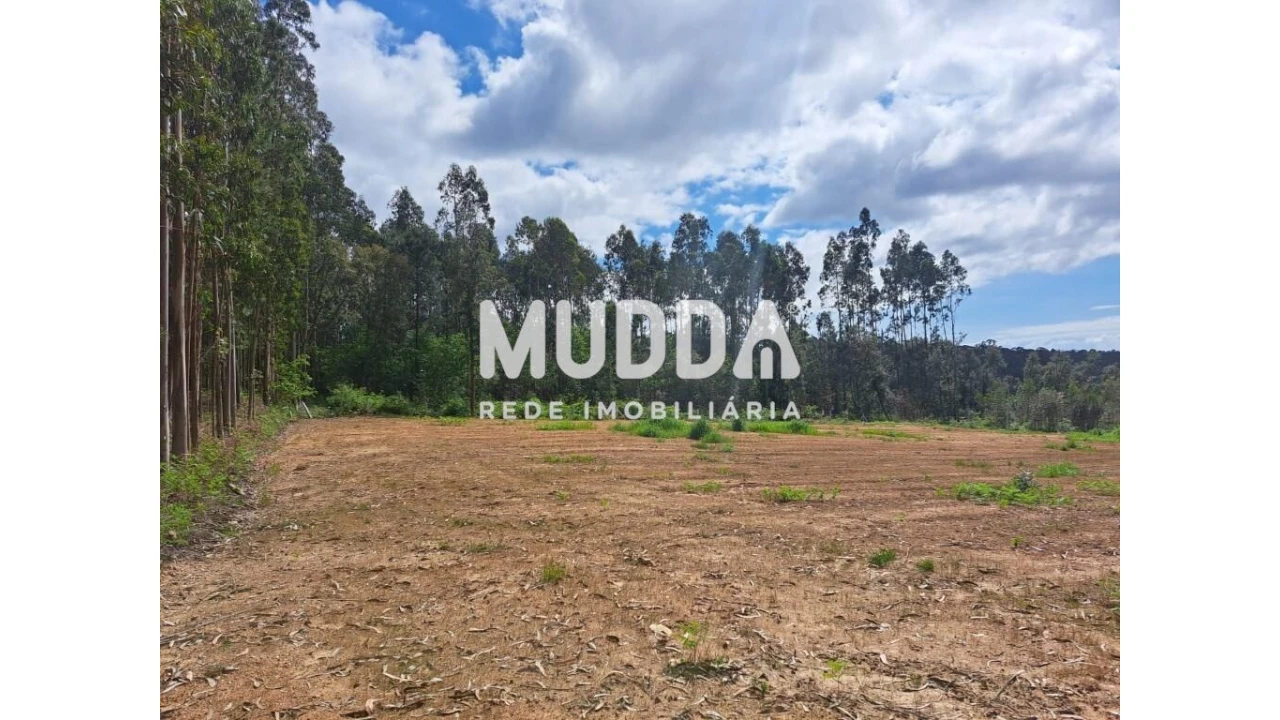 Terreno para Venda em São Martinho da Gandara Foto 9