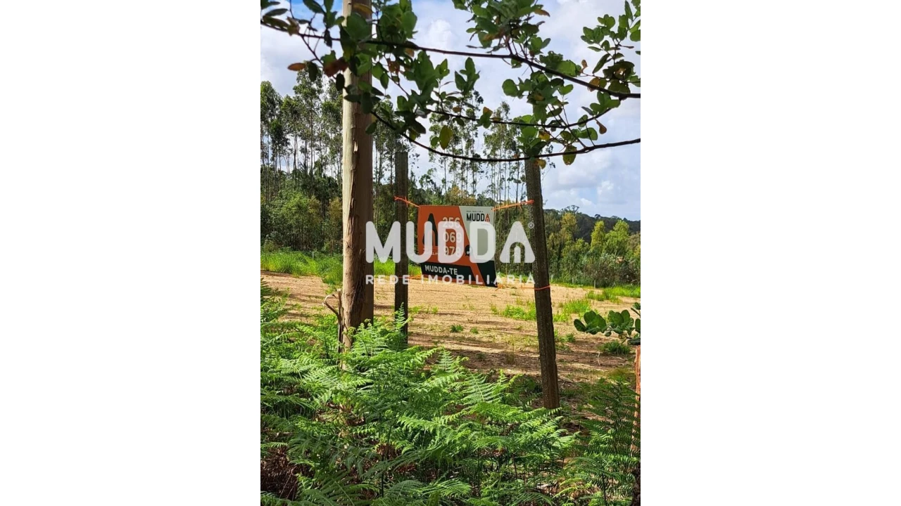 Terreno para Venda em São Martinho da Gandara Foto 15