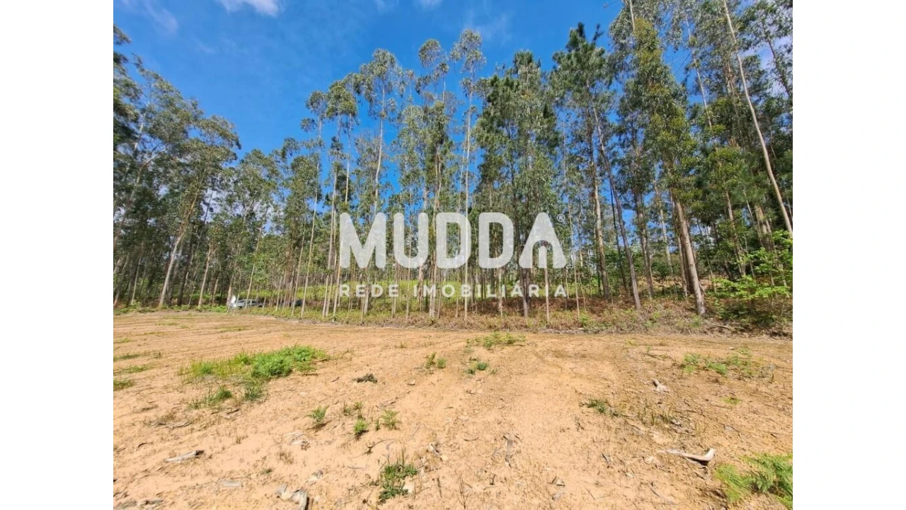 Terreno para Venda em São Martinho da Gandara Foto 11