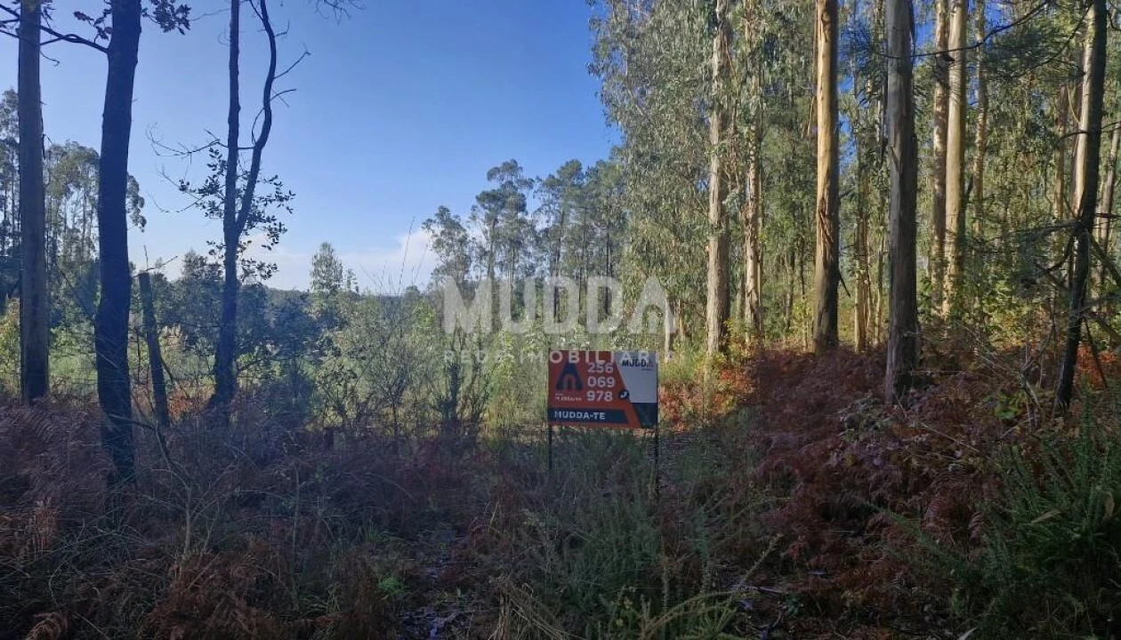 Terreno para Venda em São Martinho da Gandara Foto 3