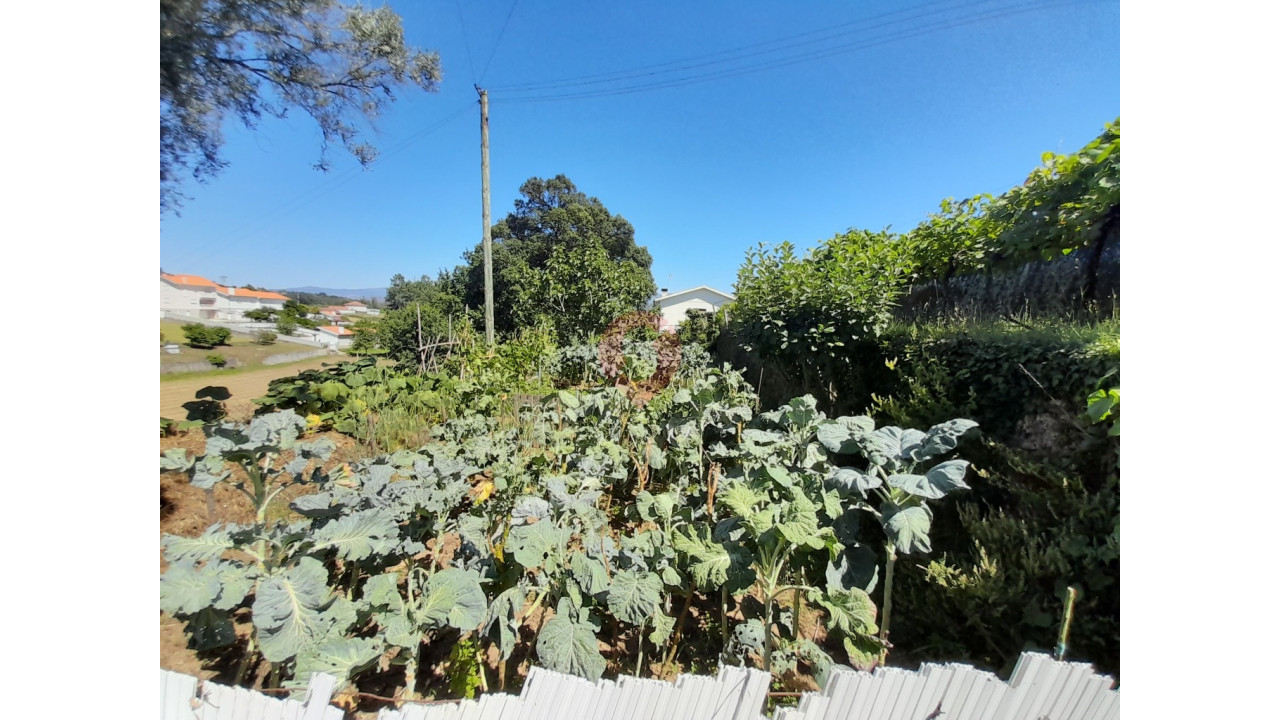 Moradia T0 para Venda em Bela Foto 8