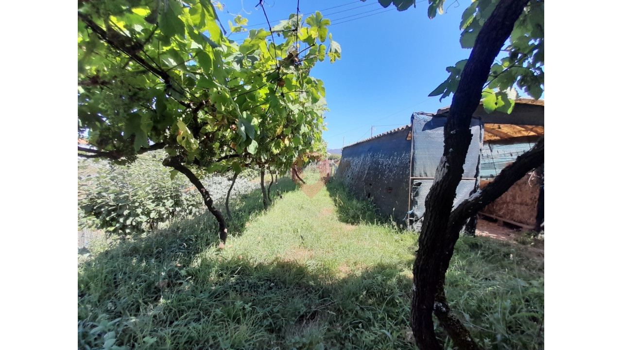 Moradia T0 para Venda em Bela Foto 7