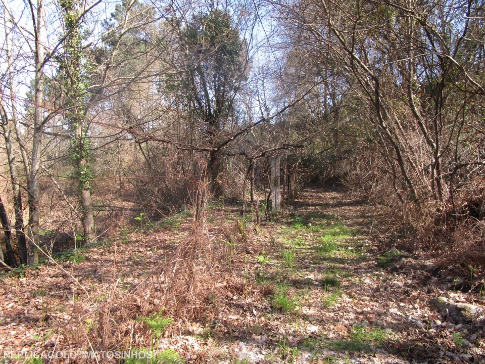 Terreno para Venda em Marco Foto 4