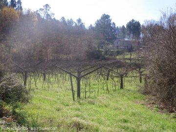 Terreno para Venda em Marco