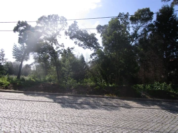 Terreno para Venda em Marco