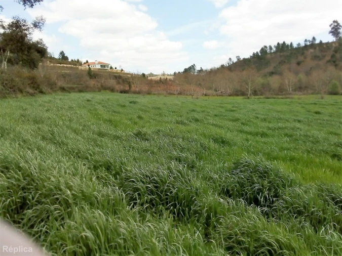 Terreno para Venda em Basto Foto 6