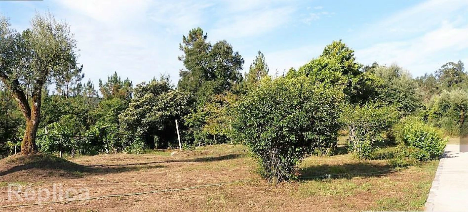 Quinta T10 para Venda em Coucieiro Foto 10