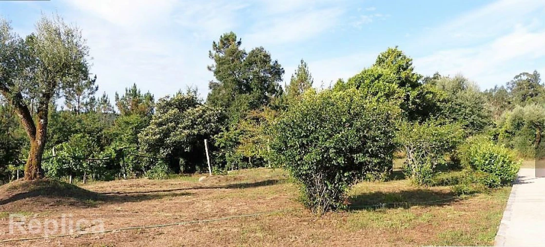 Quinta T10 para Venda em Coucieiro Foto 10