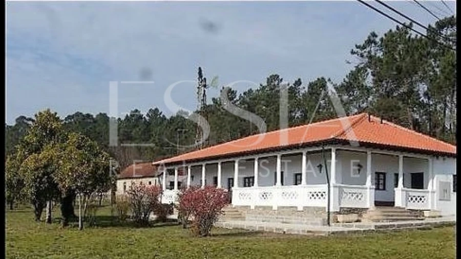 Quinta T10 para Venda em Coucieiro
