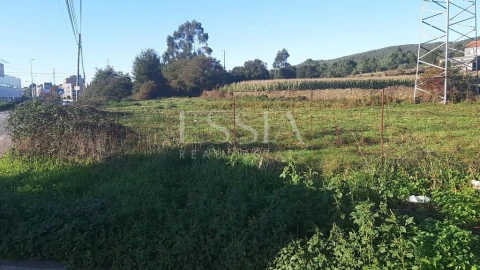 Terreno para Venda em Valongo
