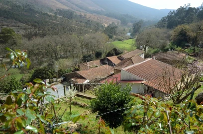 Terreno para Venda em Valongo