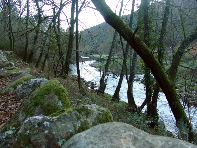 Terreno para Venda em Valongo Foto 5