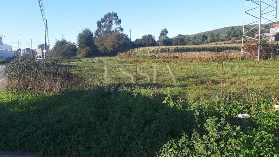 Terreno para Venda em Valongo