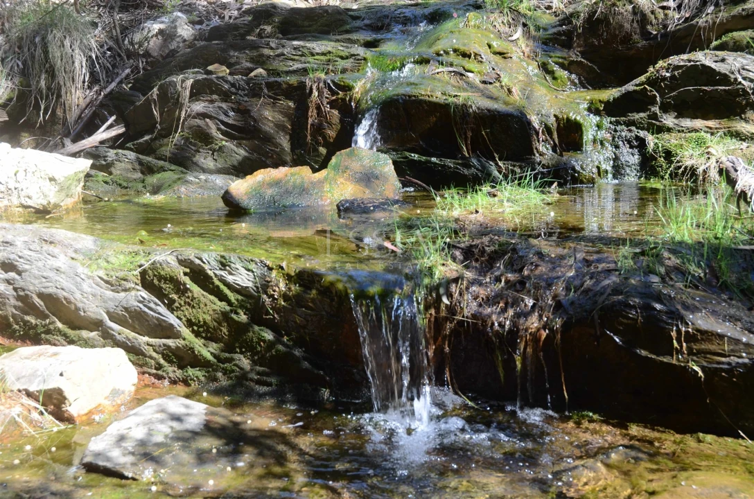 Terreno para Venda em Valongo Foto 4