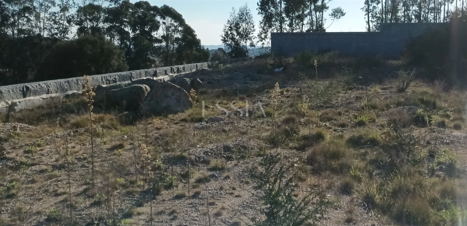 Terreno para Venda em Frazão Arreigada Foto 16