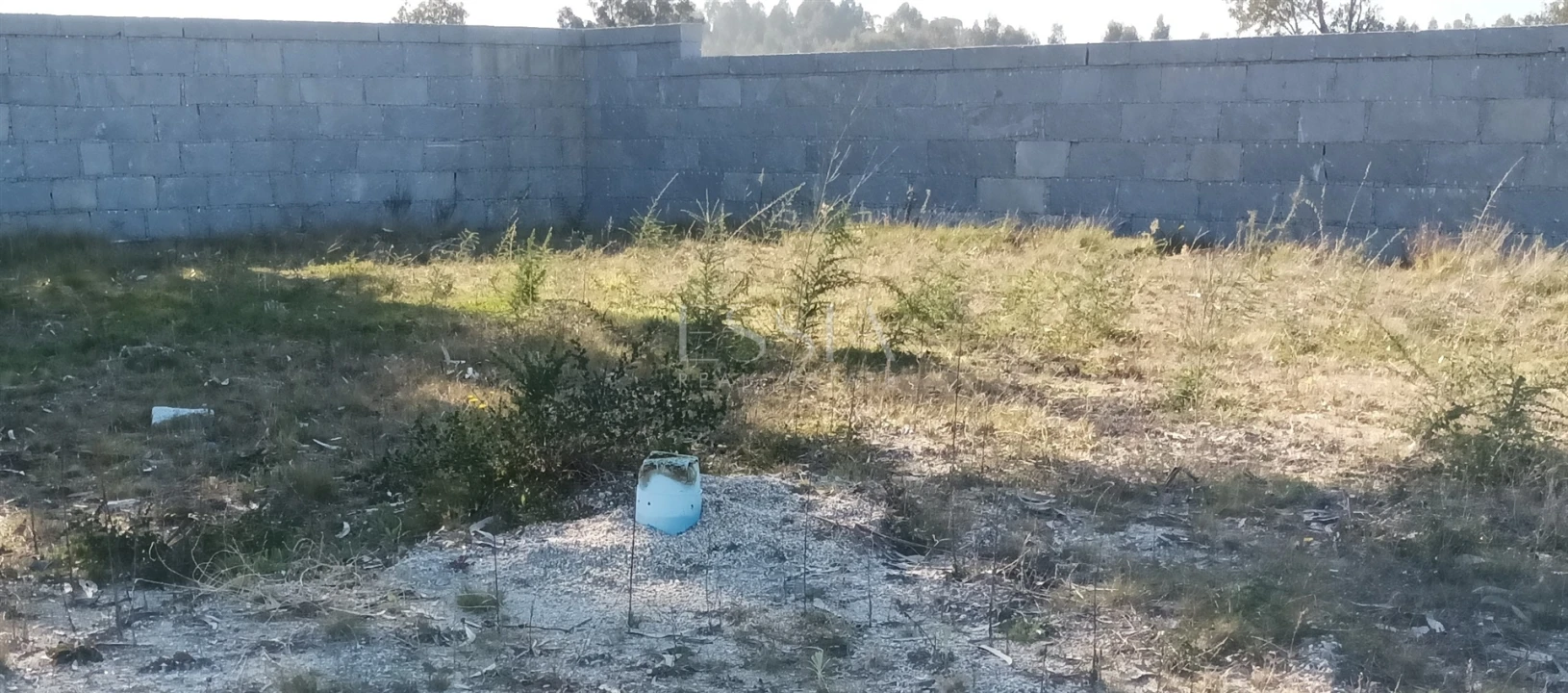 Terreno para Venda em Frazão Arreigada Foto 19