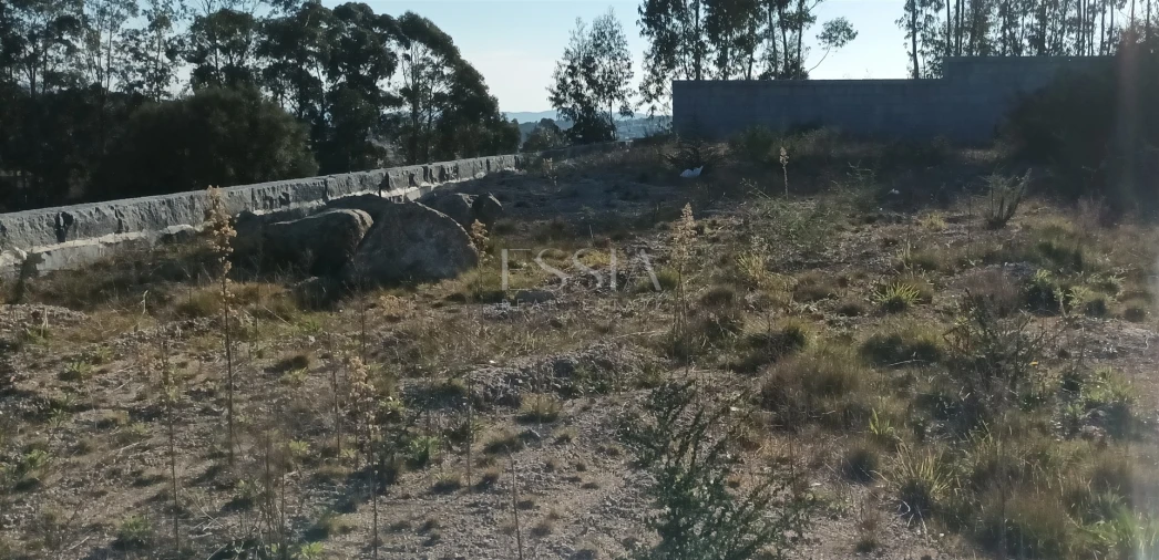 Terreno para Venda em Frazão Arreigada Foto 16