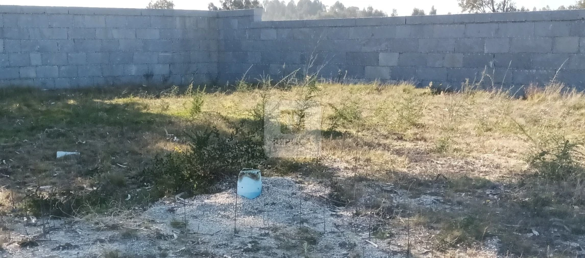 Terreno para Venda em Frazão Arreigada Foto 21