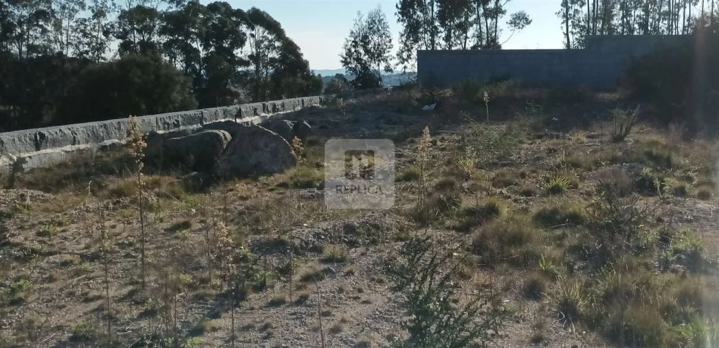 Terreno para Venda em Frazão Arreigada Foto 15