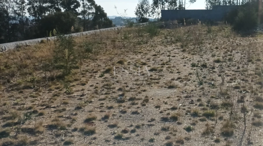 Terreno para Venda em Frazão Arreigada Foto 13