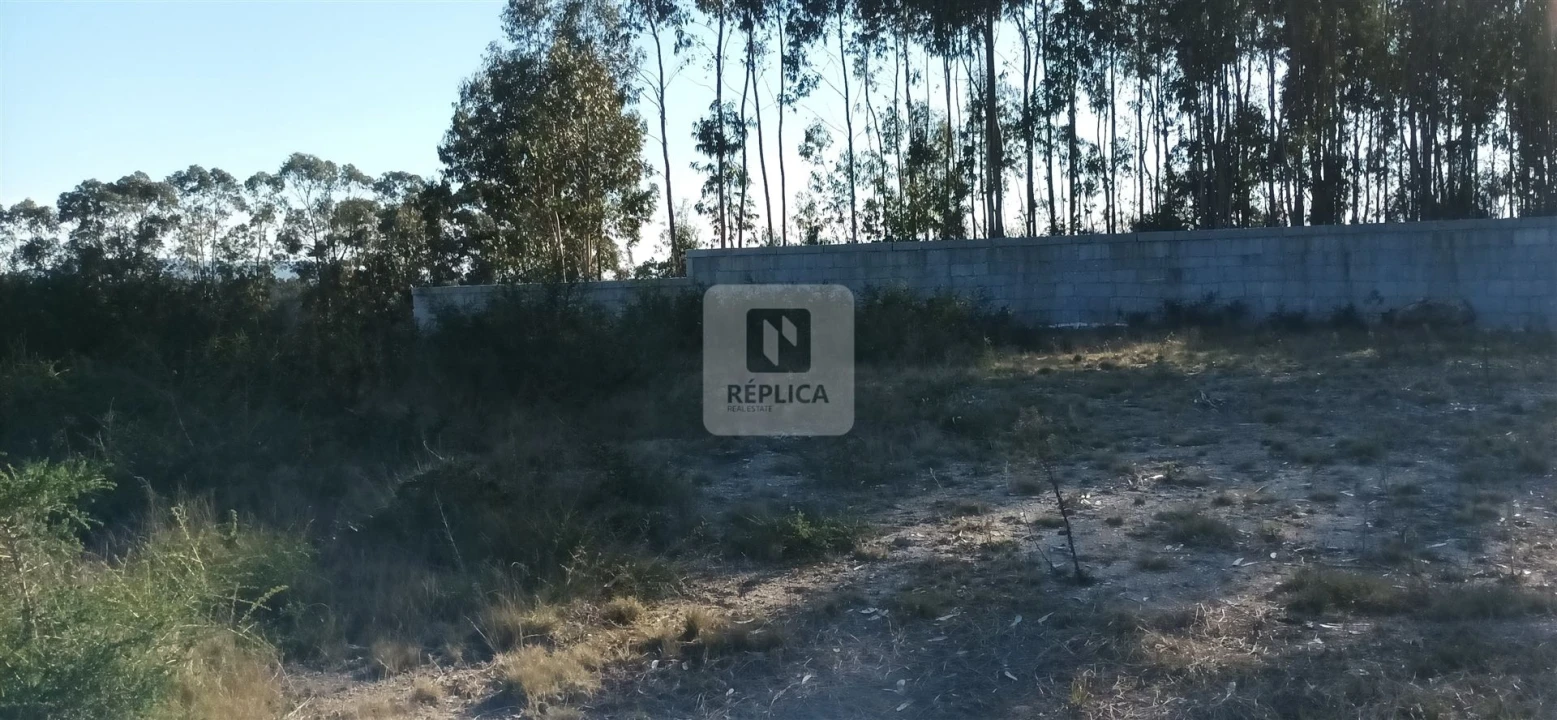 Terreno para Venda em Frazão Arreigada Foto 13