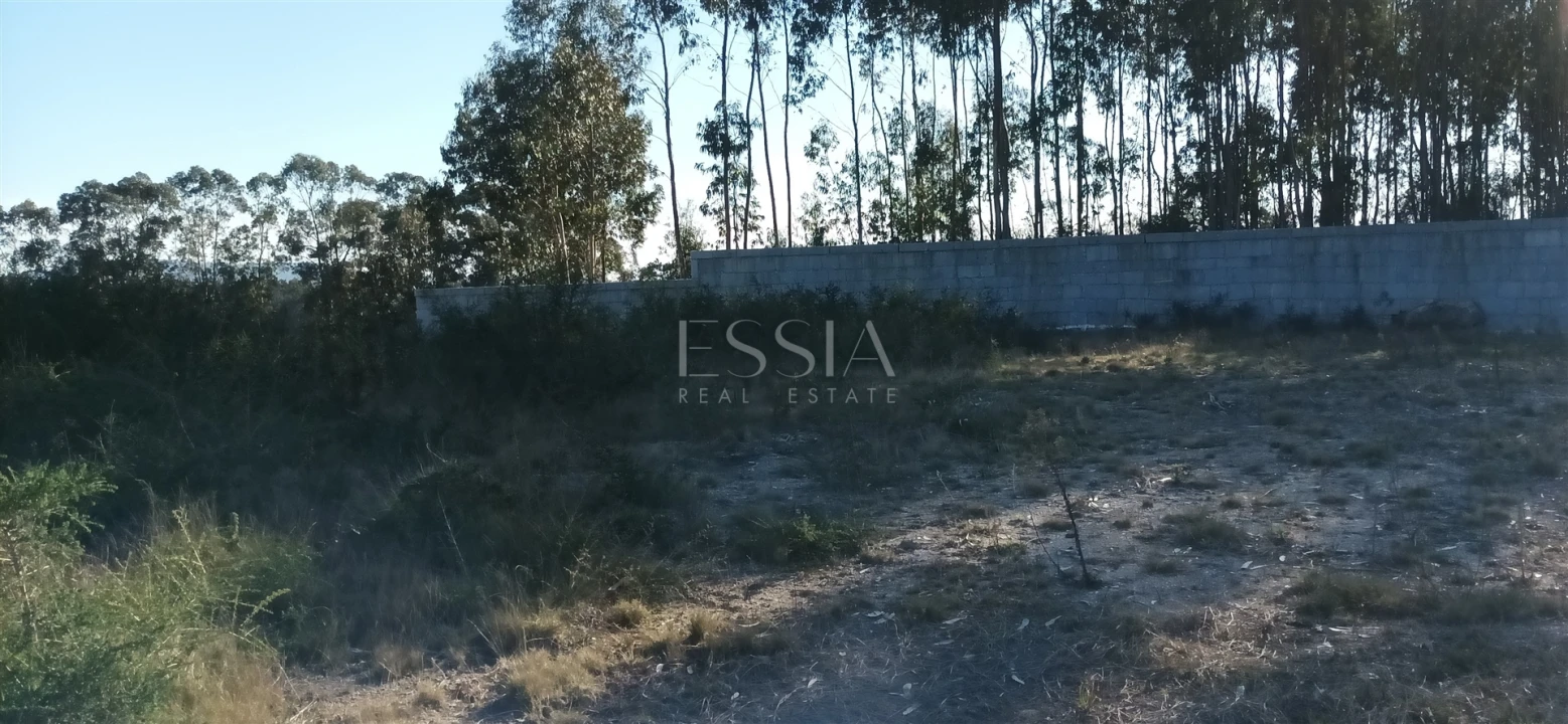 Terreno para Venda em Frazão Arreigada Foto 14