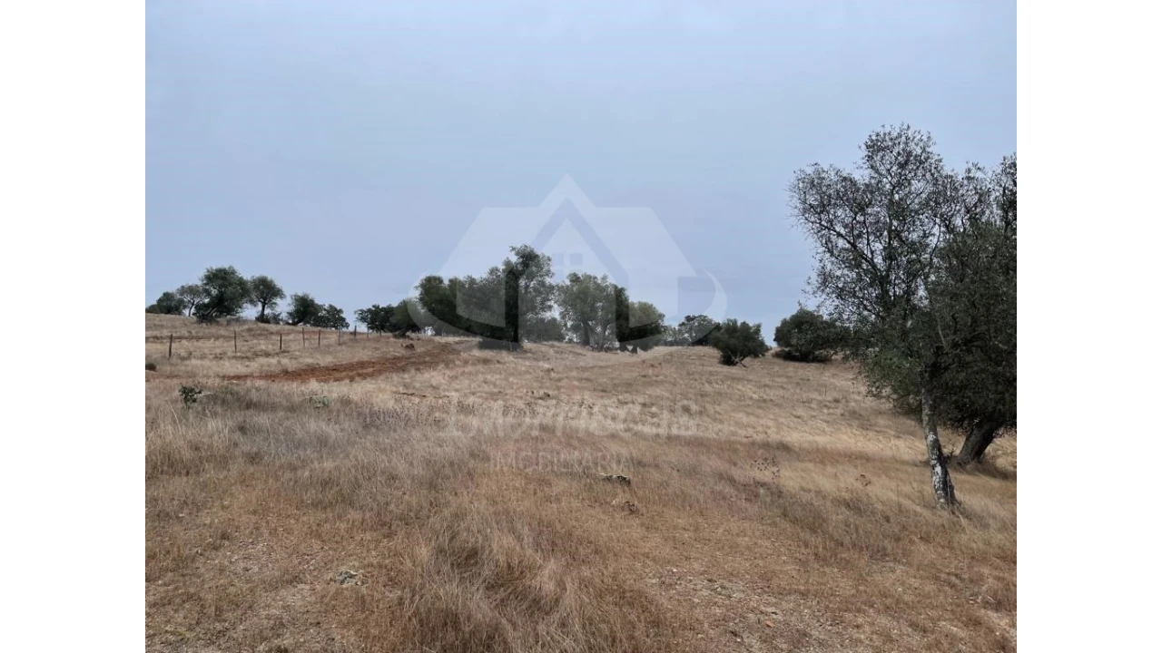 Quinta para Venda em Pavia Foto 5