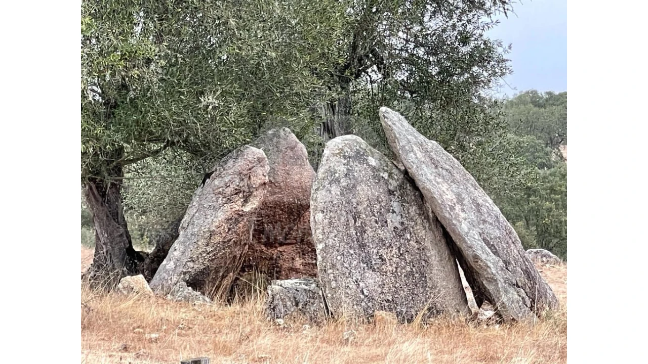 Quinta para Venda em Pavia Foto 3
