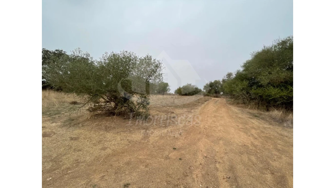 Quinta para Venda em Pavia Foto 10