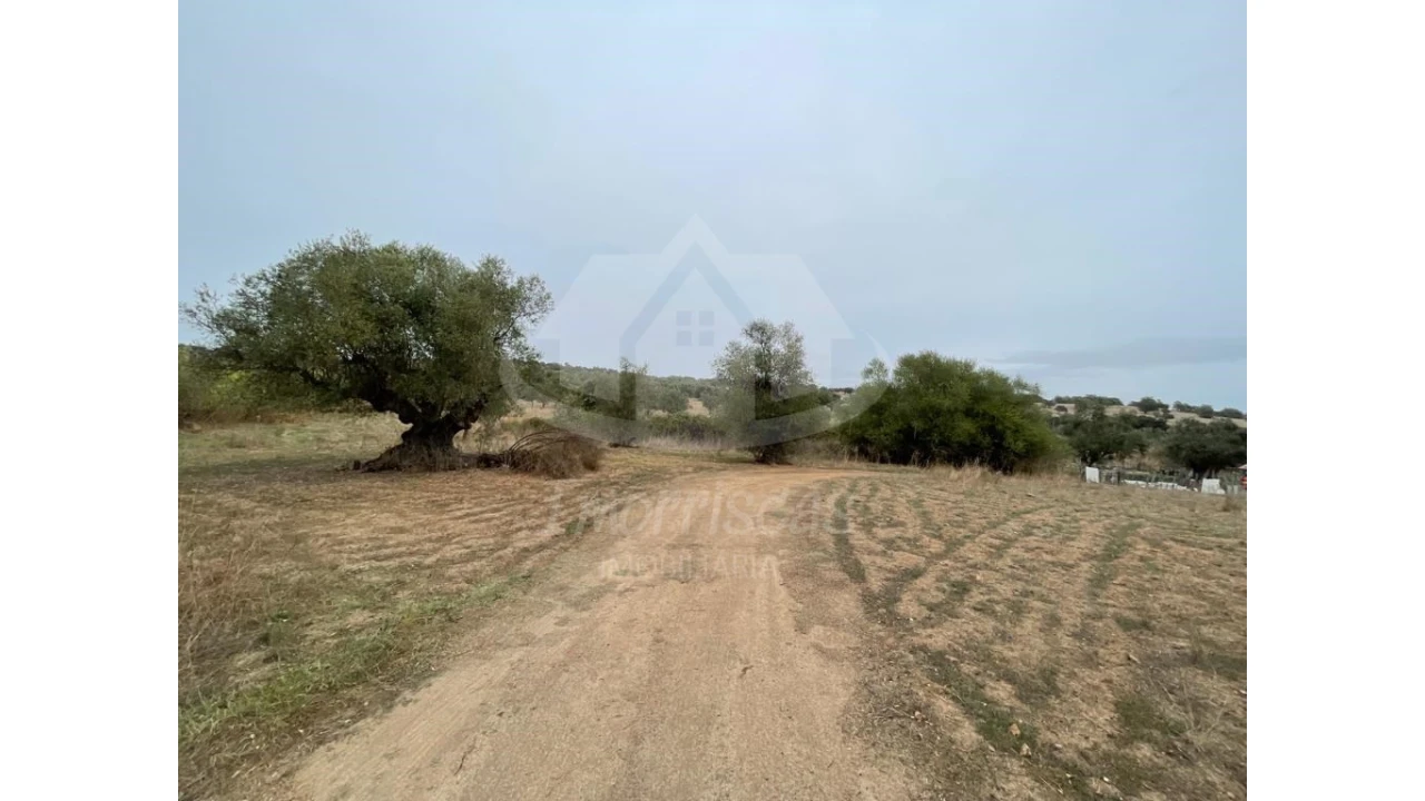 Quinta para Venda em Pavia Foto 11