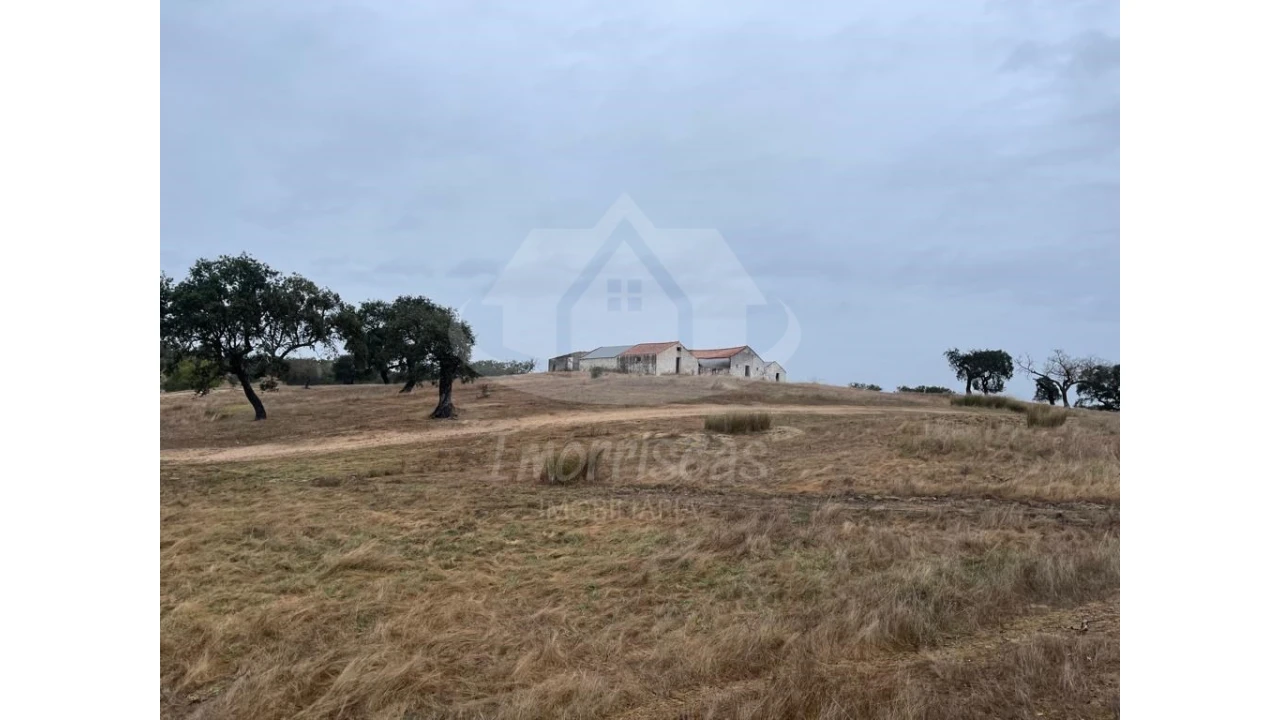 Quinta para Venda em Pavia Foto 4