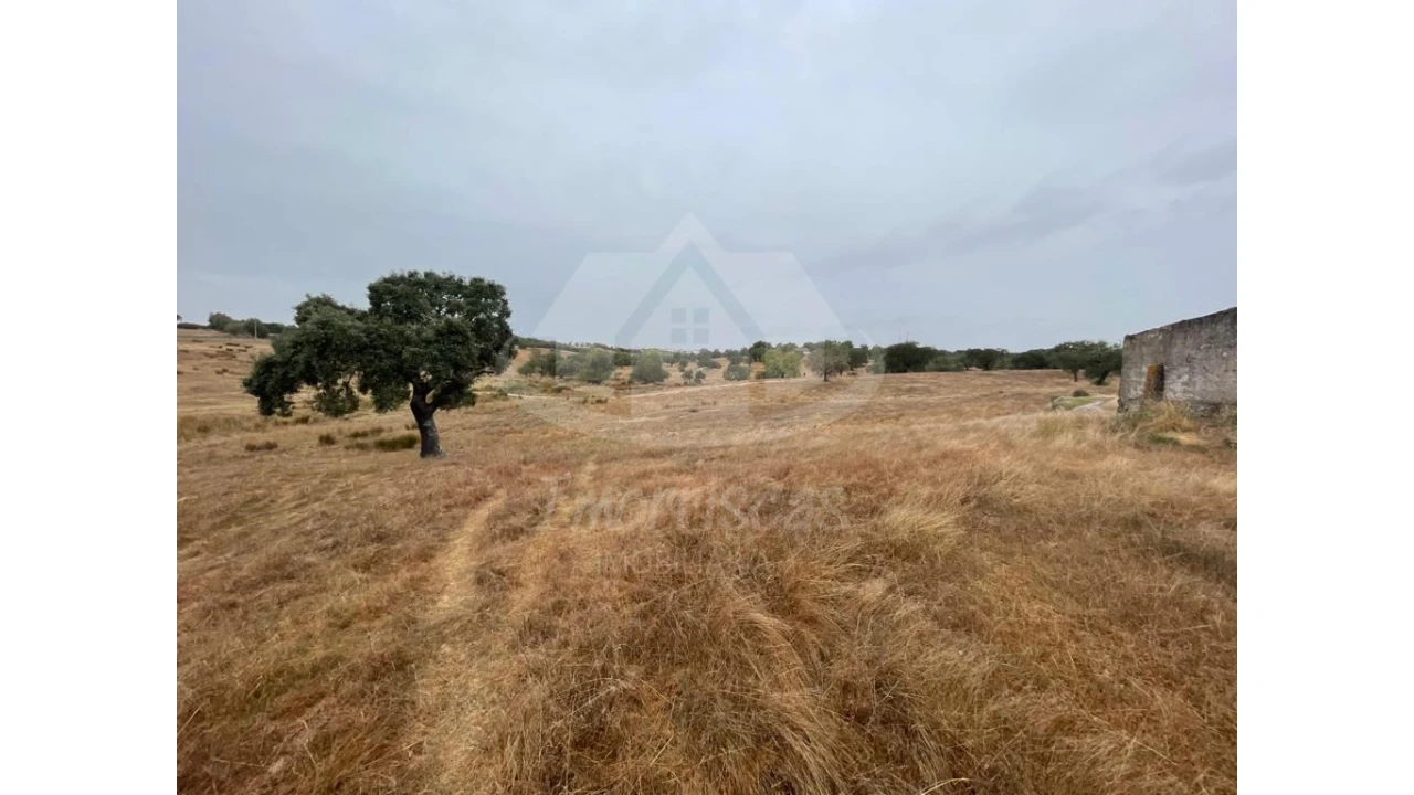 Quinta para Venda em Pavia Foto 2