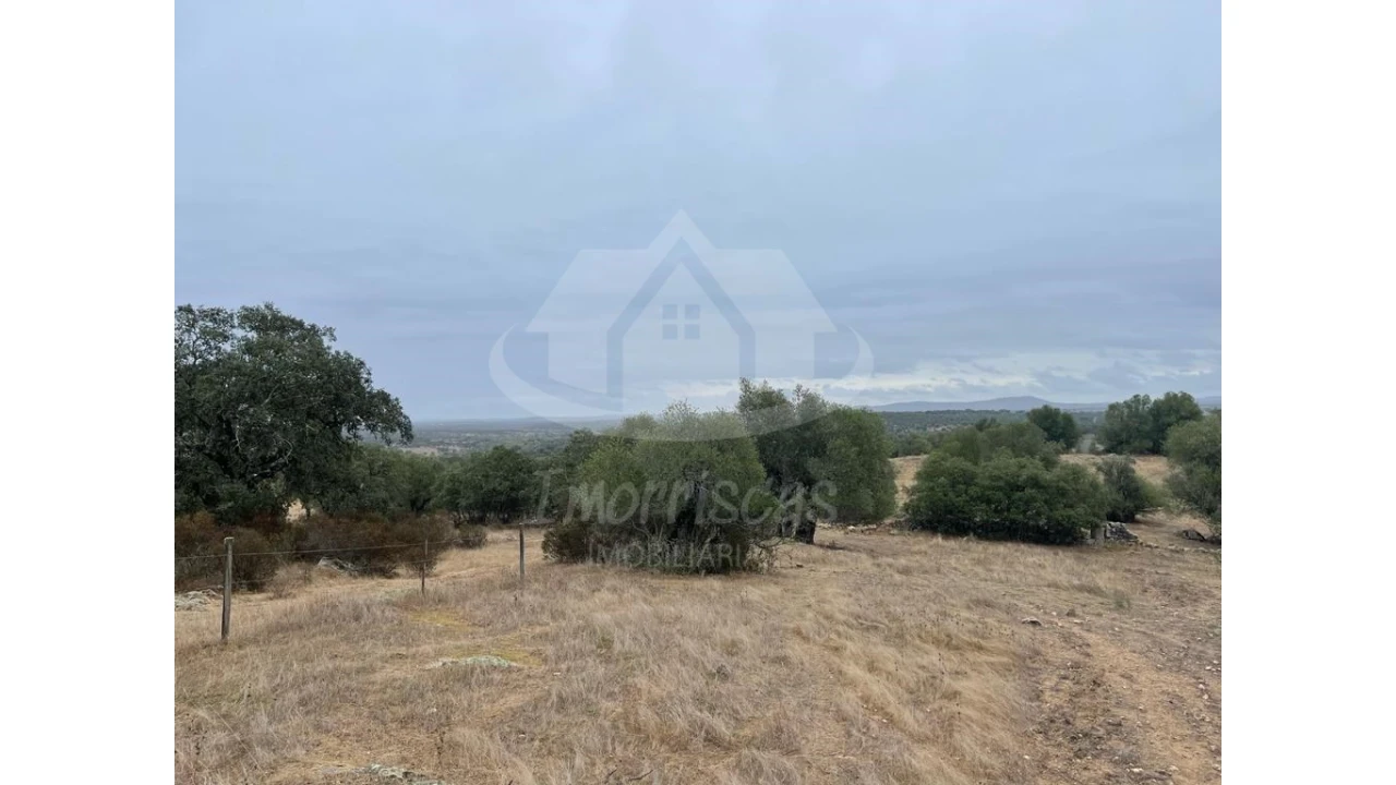 Quinta para Venda em Pavia Foto 13