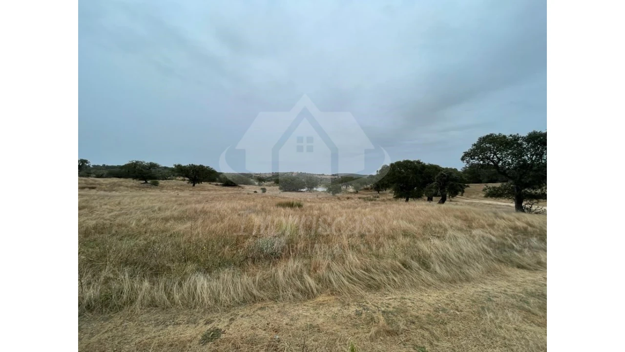 Quinta para Venda em Pavia Foto 17