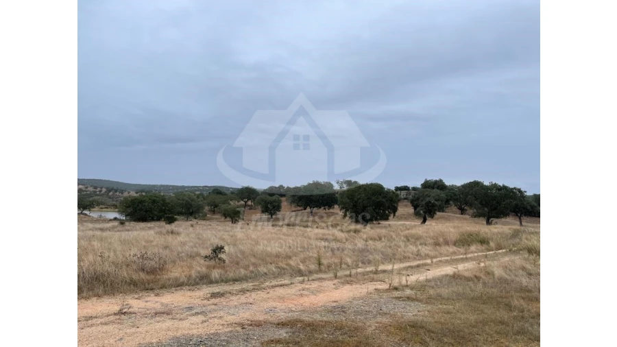 Quinta para Venda em Pavia Foto 7