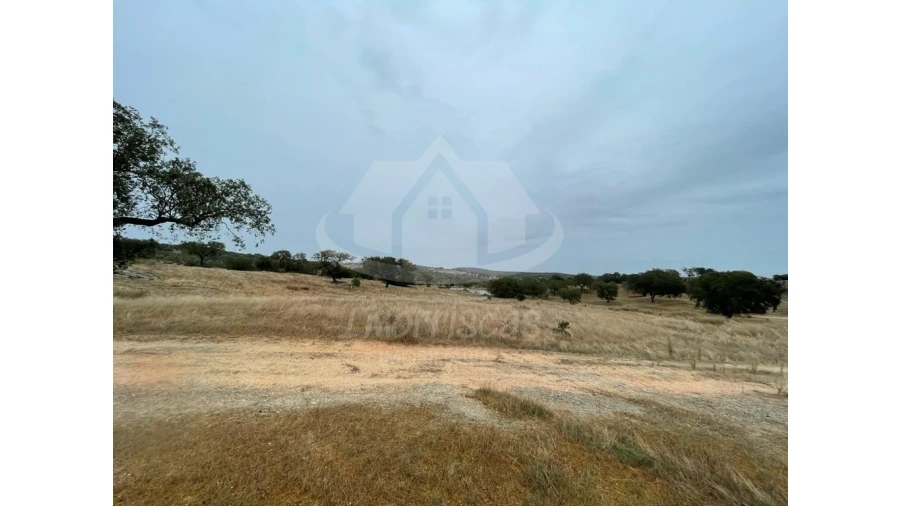 Quinta para Venda em Pavia Foto 9