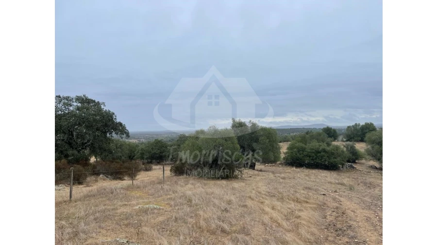 Quinta para Venda em Pavia Foto 13