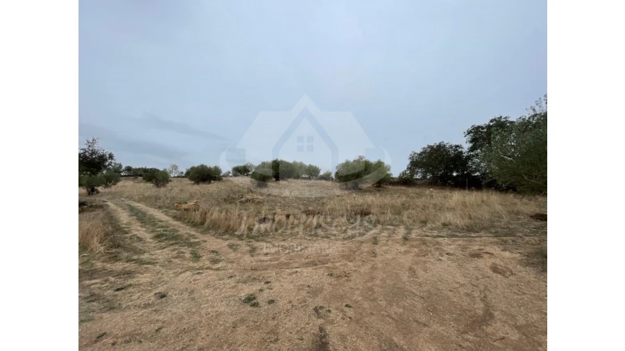 Quinta para Venda em Pavia Foto 14