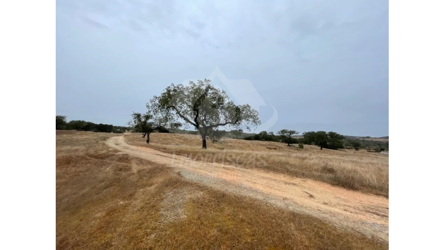 Quinta para Venda em Pavia Foto 16