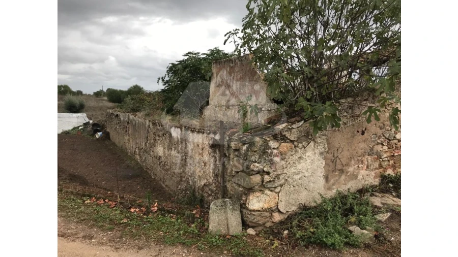 Quinta para Venda em Pavia Foto 19