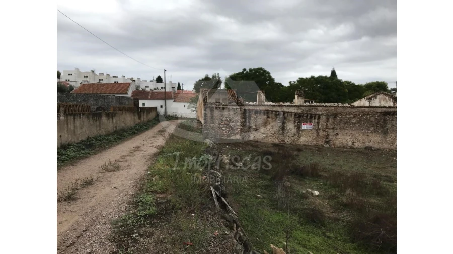 Quinta para Venda em Pavia Foto 20