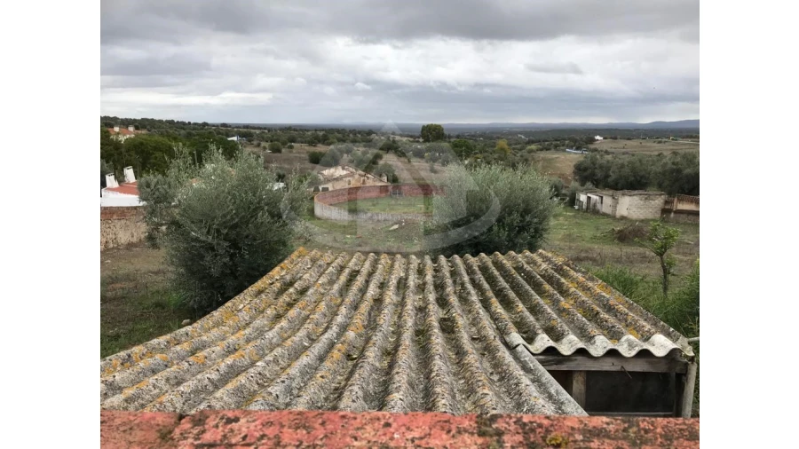 Quinta para Venda em Pavia Foto 22