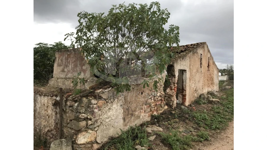 Quinta para Venda em Pavia Foto 25