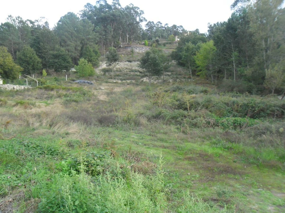 Terreno para Venda em Figueiró (Santiago e Santa Cristina) Foto 5