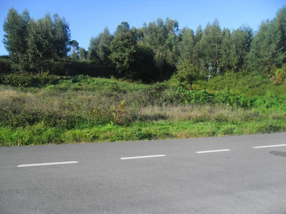 Terreno para Venda em Figueiró (Santiago e Santa Cristina) Foto 6