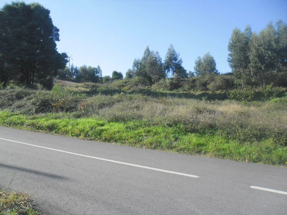 Terreno para Venda em Figueiró (Santiago e Santa Cristina) Foto 7