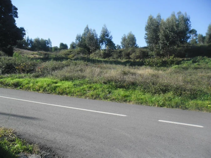 Terreno para Venda em Figueiró (Santiago e Santa Cristina) Foto 8