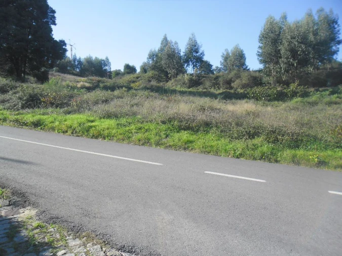 Terreno para Venda em Figueiró (Santiago e Santa Cristina) Foto 2