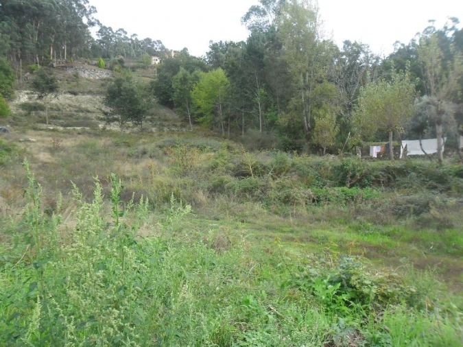 Terreno para Venda em Figueiró (Santiago e Santa Cristina) Foto 4